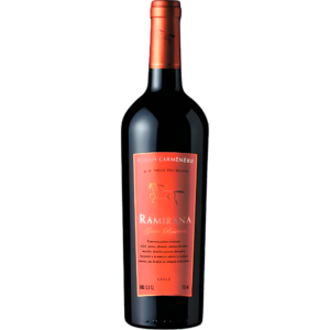 Vinho Tinto Ramirana Gran Reserva Syrah Carménère. Chile