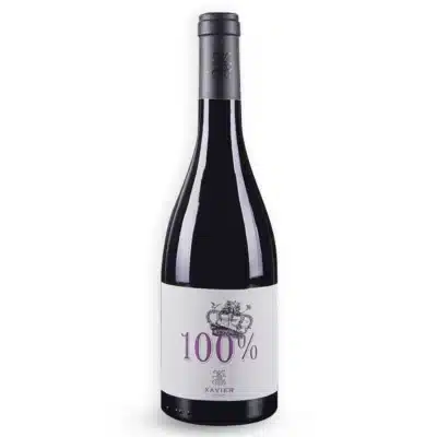 Vinho Francês Xavier 100% Rouge Côtes du Rhône