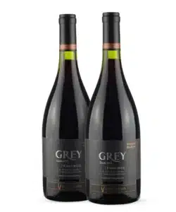Pack com 2 Ventisquero Grey Pinot Noir Valle De Leyda