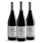 KIT Compre 02 Leve 03 Vinho Português Caminho Romano Dão