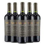 Kit Signature Cabernet Cinco Safras Premiadas Descorchados Vinhos Argentinos