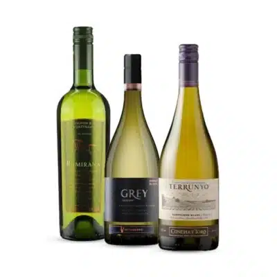 Kit Blanc Vinhos Brancos Chilenos Premiados. Ventisquero, Ramirana, Terrunyo Vinhos do ChileKit Super Chilenos