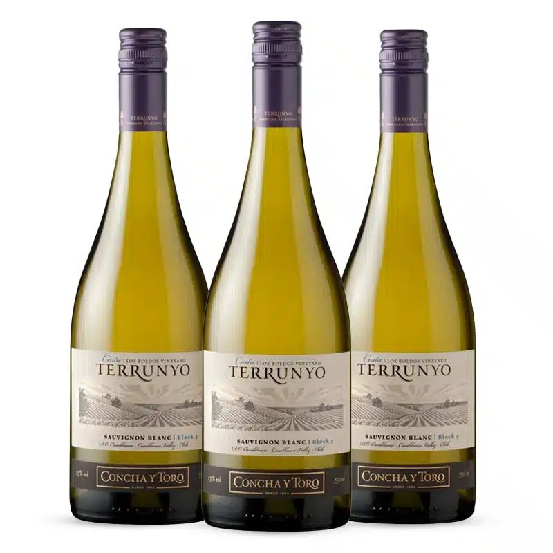 Kit Terrunyo Sauvignon Blanc Vinhos do Chile