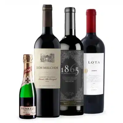 Pack Grandes Ícones Chilenos Lota Don Melchor Cabo de Hornos 1865 150th Vinhos Chilenos Premiados e Renomados