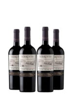 Kit Terrunyo Cabernet Sauvignon Degustação Vertical