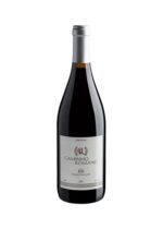 Caminho-Romano-2016-Dão