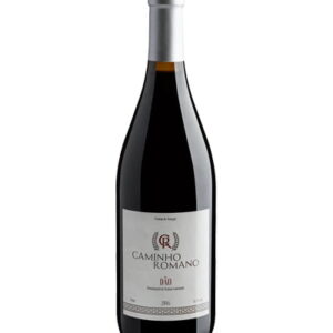 Caminho-Romano-2016-Dão