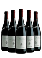 Kit-Montresor-Amarone-Giacomo