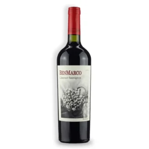 Vinho Tinto BenMarco Cabernet Sauvignon Susana Balbo Mendoza 2014 94 Pontos