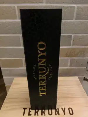 terrunyo vinho chileno