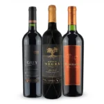 Vinhos Carmenére do Chile Seleção de Vinhos Pontuados