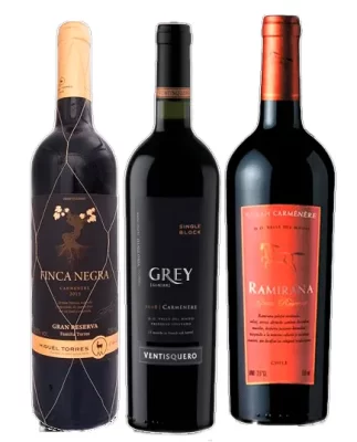 vinhos carmenere chilenos