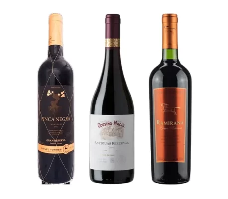icones chilenos vinhos renomados