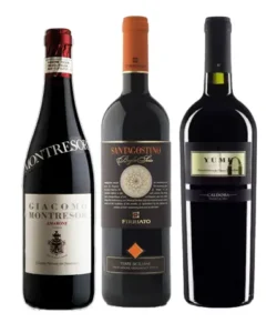 selecao vinhos italianos icones tinto