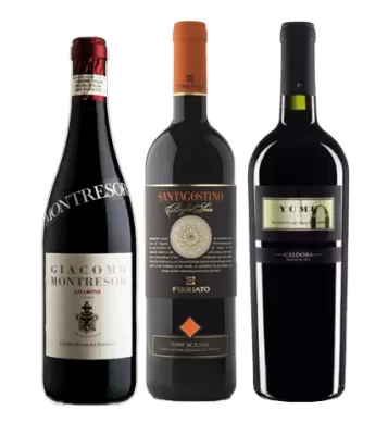 selecao vinhos italianos icones tinto