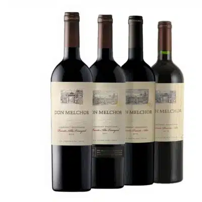 Don Melchor Cabernet Sauvignon Degustação Vetrical 2016 2017 2018 2019