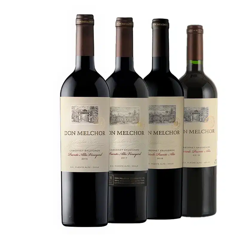 Don Melchor Cabernet Sauvignon Degustação Vetrical 2016 2017 2018 2019