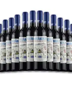 Vinho Tinto Portugês Atlântico Pack com 12 Garrafas Pague 11. Região de Alentejo Uvas Alicante Bouschet, Trincadeira, Aragonez