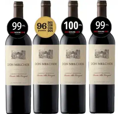 don melchor cabernet sauvignon vertical