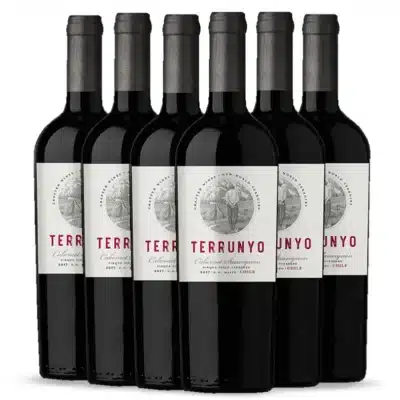 Vinho Chileno Terrunyo Cabernet Sauvignon 2017 Caixa de Madeira Original Valle del Maipo