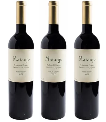 vinho uruguaio mataojo
