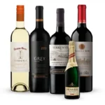 Vinhos Chilenos Kit Especial Cousinõ Macul, Santa Rita, Grey e Terrunyo