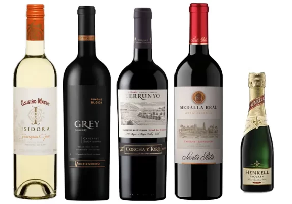 vinhos chilenos dia dos pais