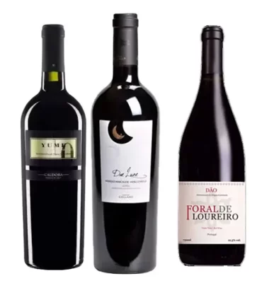 kit vinhos premiados