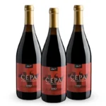 Compre 02 Leve 03 Vinho Português Cepa Selecionada Dão 2016 750ml