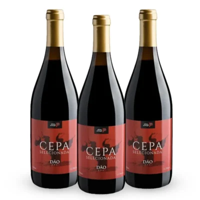 Compre 02 Leve 03 Vinho Português Cepa Selecionada Dão 2016 750ml