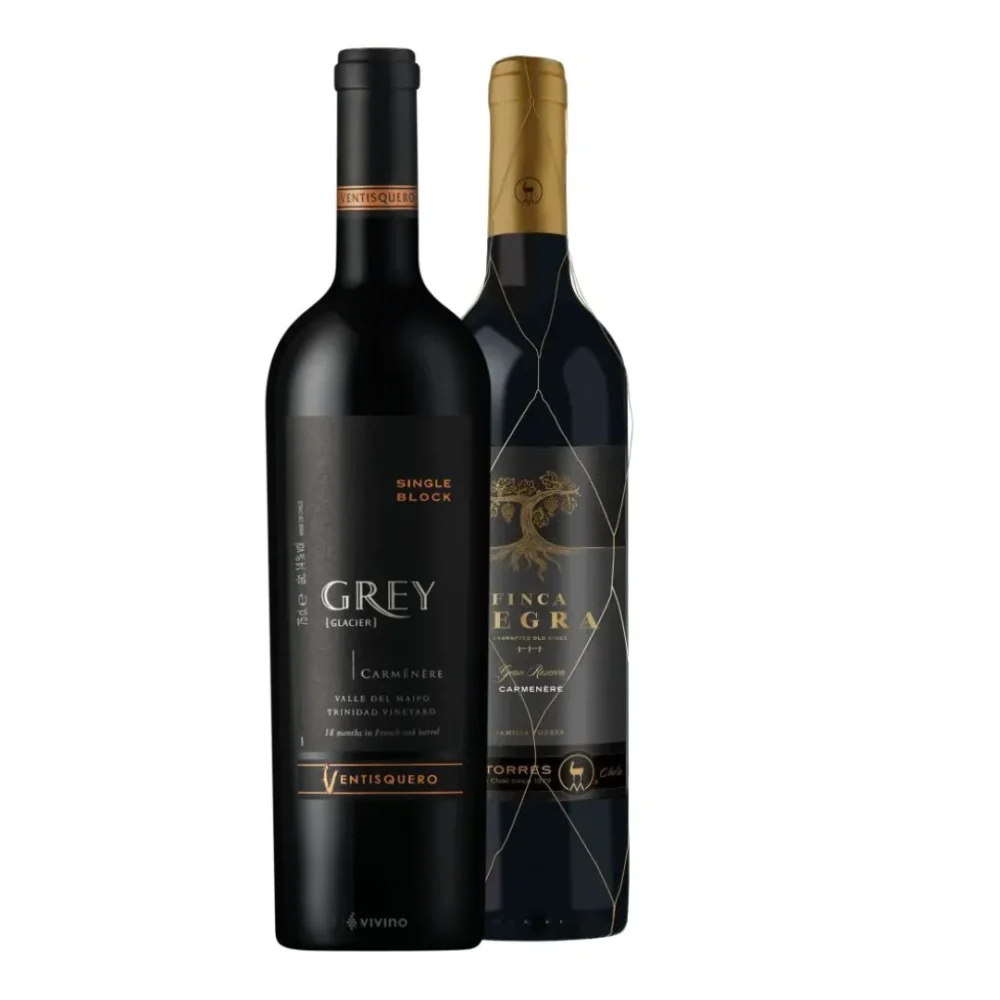 Kit Vinho Chileno 1 Finca Negra e 1 Ventisquero Grey