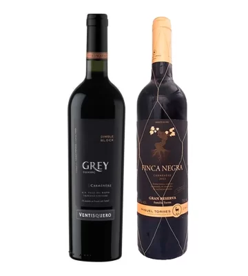 vinho tinto chile carmenere