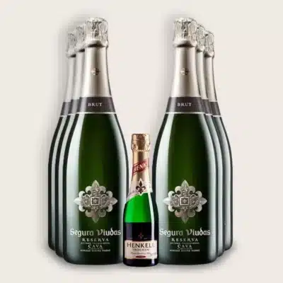 Kit Espumante Cava Segura Viudas Reserva Brut