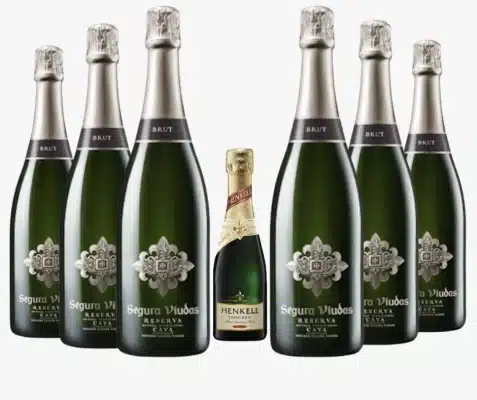 Kit Espumante Cava Segura Viudas Reserva Brut