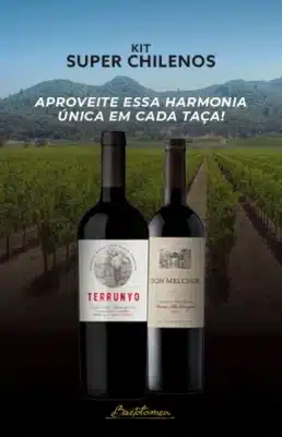 Kit Super Chilenos Cabernet Sauvignon Don Melchor e Terrunyo 2