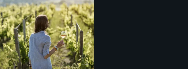 Vinho-rosé-sozinha-mulher-queijo-sobremesa