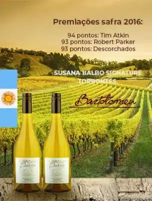 Banner Susan Balbo Mobile