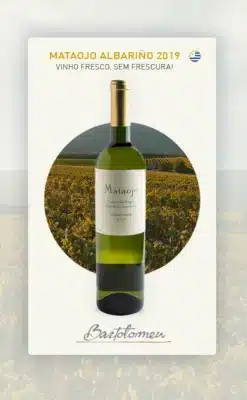 Vinho Branco Uruguaio Mataojo Albariño Fresco 2019 mobile