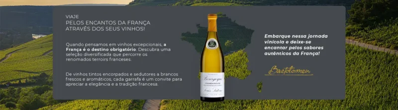 Campanha Regiões do Mundo