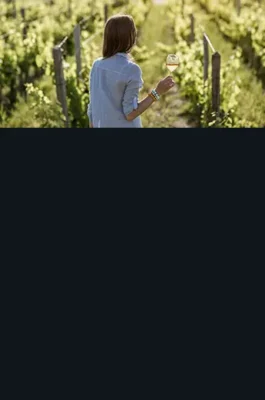 Vinho-rosé-sozinha-mulher-queijo-sobremesa-mobile