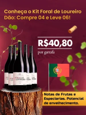 Compre-04-e-Leve-06!300x400