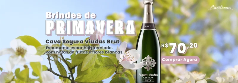 Primavera-SeguraVidas-Banner_Desktop