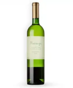 Vinho-Branco-Uruguaio-Mataojo-Albarino-Fresco-2020