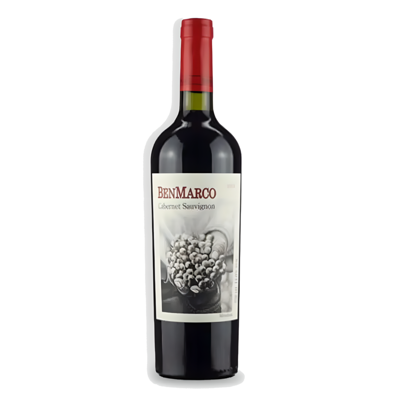Vinho Tinto BenMarco Cabernet Sauvignon Susana Balbo Mendoza 2016