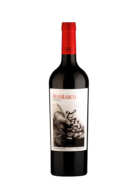 2015 BenMarco Malbec Susana Balbo Altamira