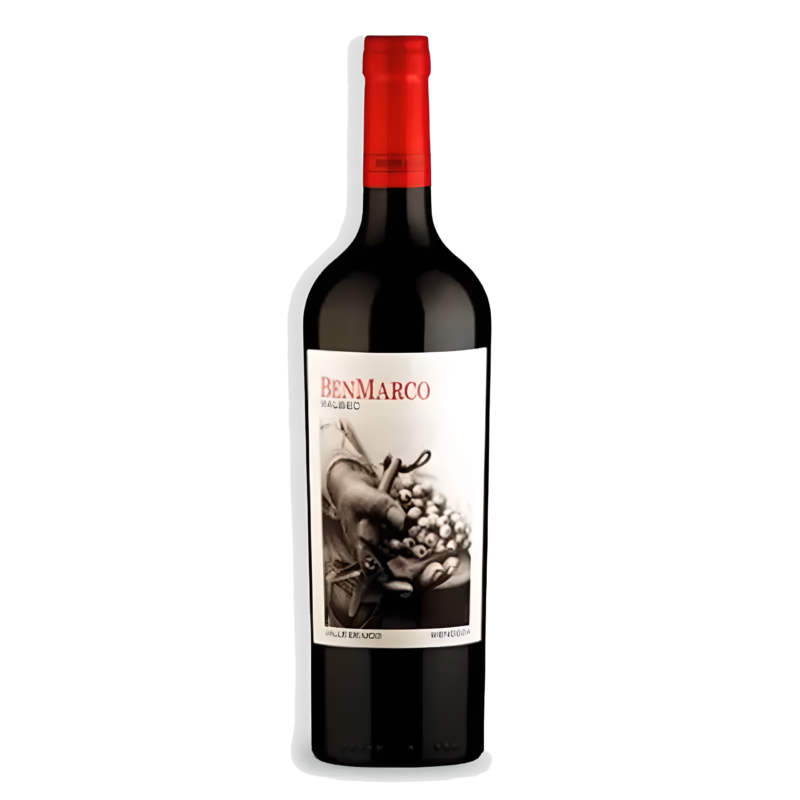 Vinho Tinto BenMarco Malbec Susana Balbo Altamira 2017