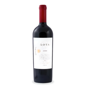 2008 Lota Cousiño Macul Valle del Maipo | Chileno