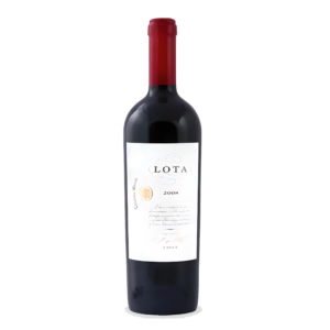 2008 Lota Cousiño Macul Valle del Maipo | Chileno