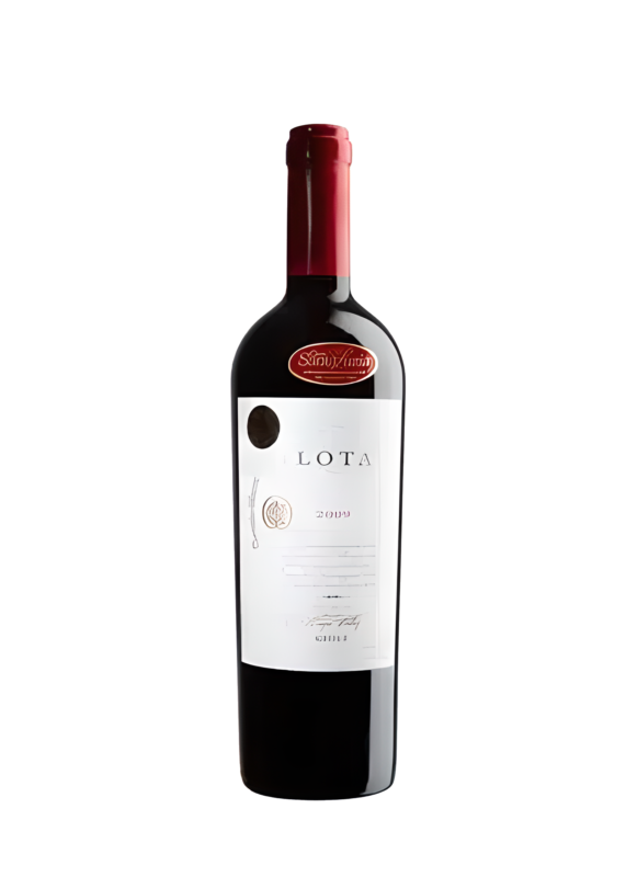 2009 97 Pontos Lota Cousiño Macul Valle del Maipo - Chile