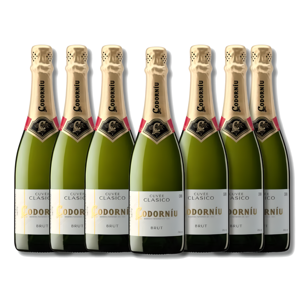 Kit Espumante Cava Codorníu Clásico Brut Espumante Espanhol- 30 Garrafas